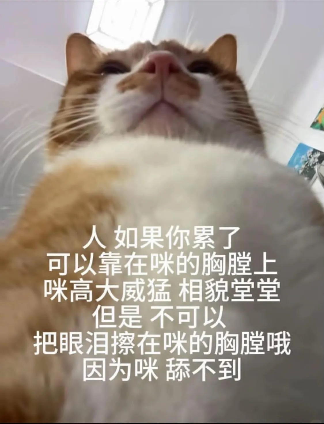 萱 / 代辦代購/活動打工/閒人出租