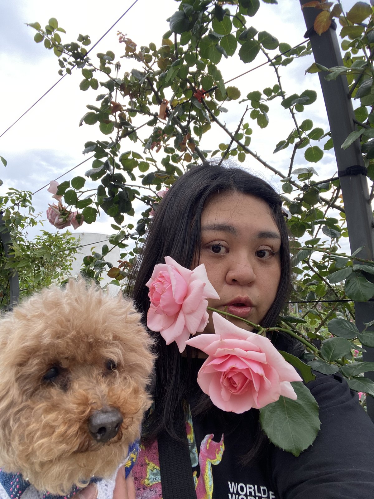 李雪莉 的照片