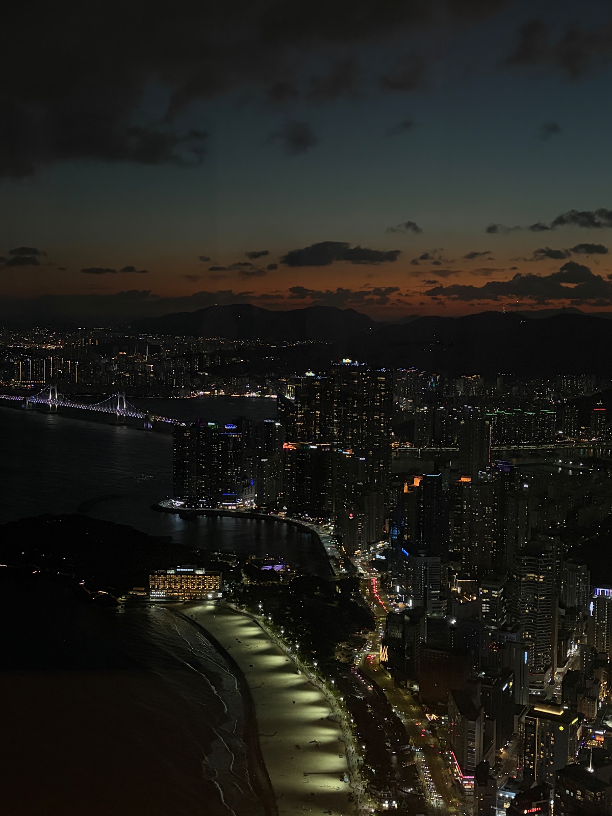 小楊
