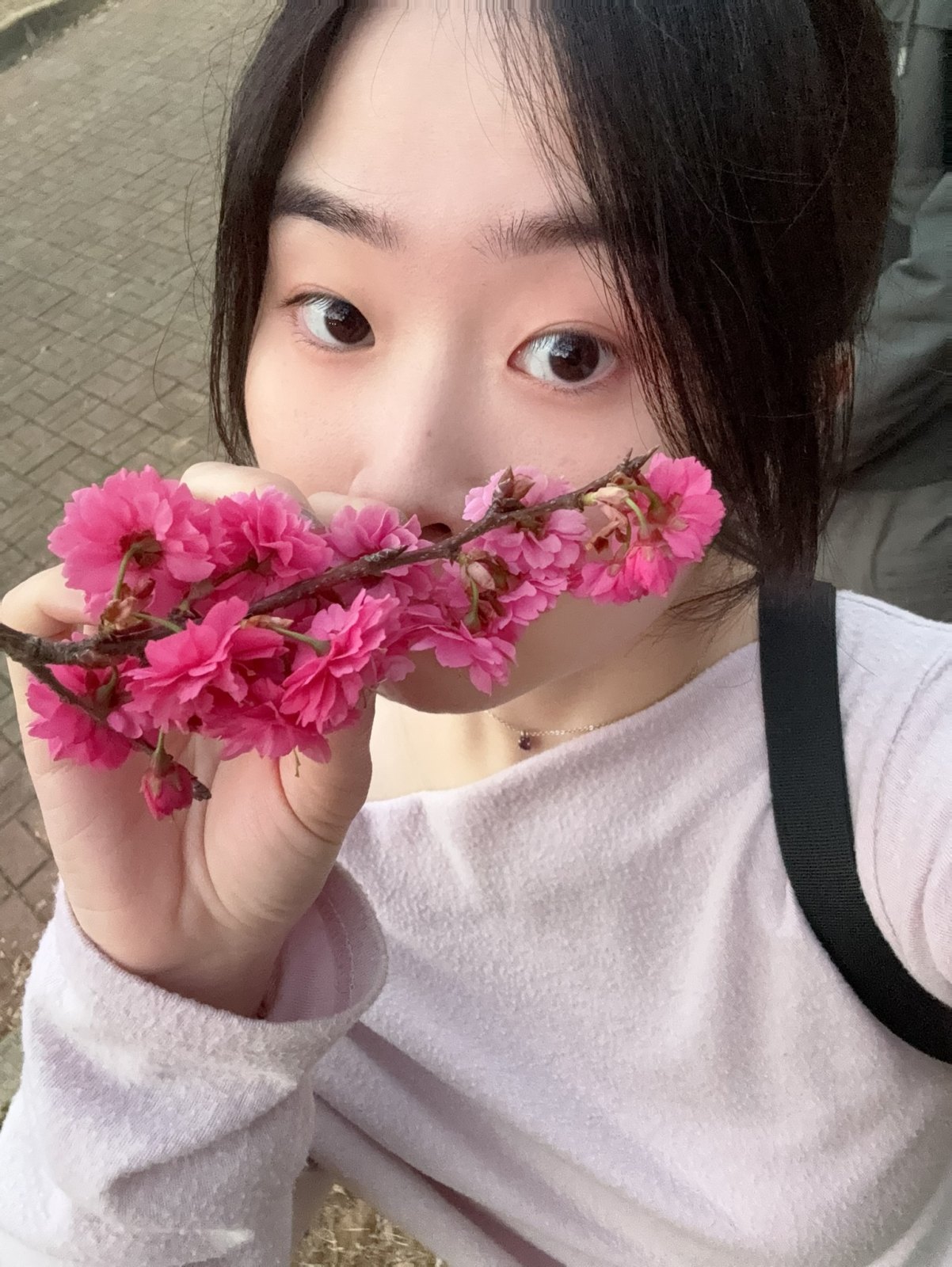 蜂蜜蛋糕 的照片