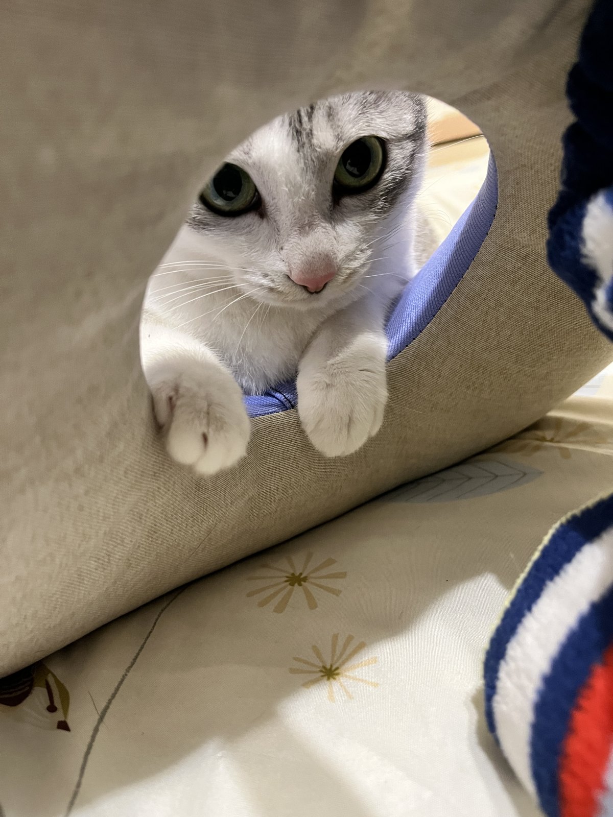 小蓁 的照片