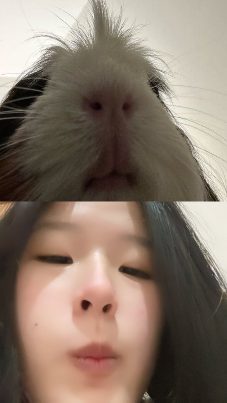 知返 的照片