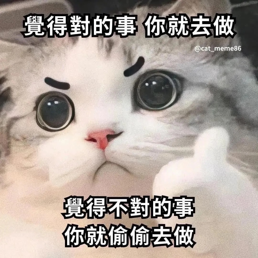 Roy 的照片