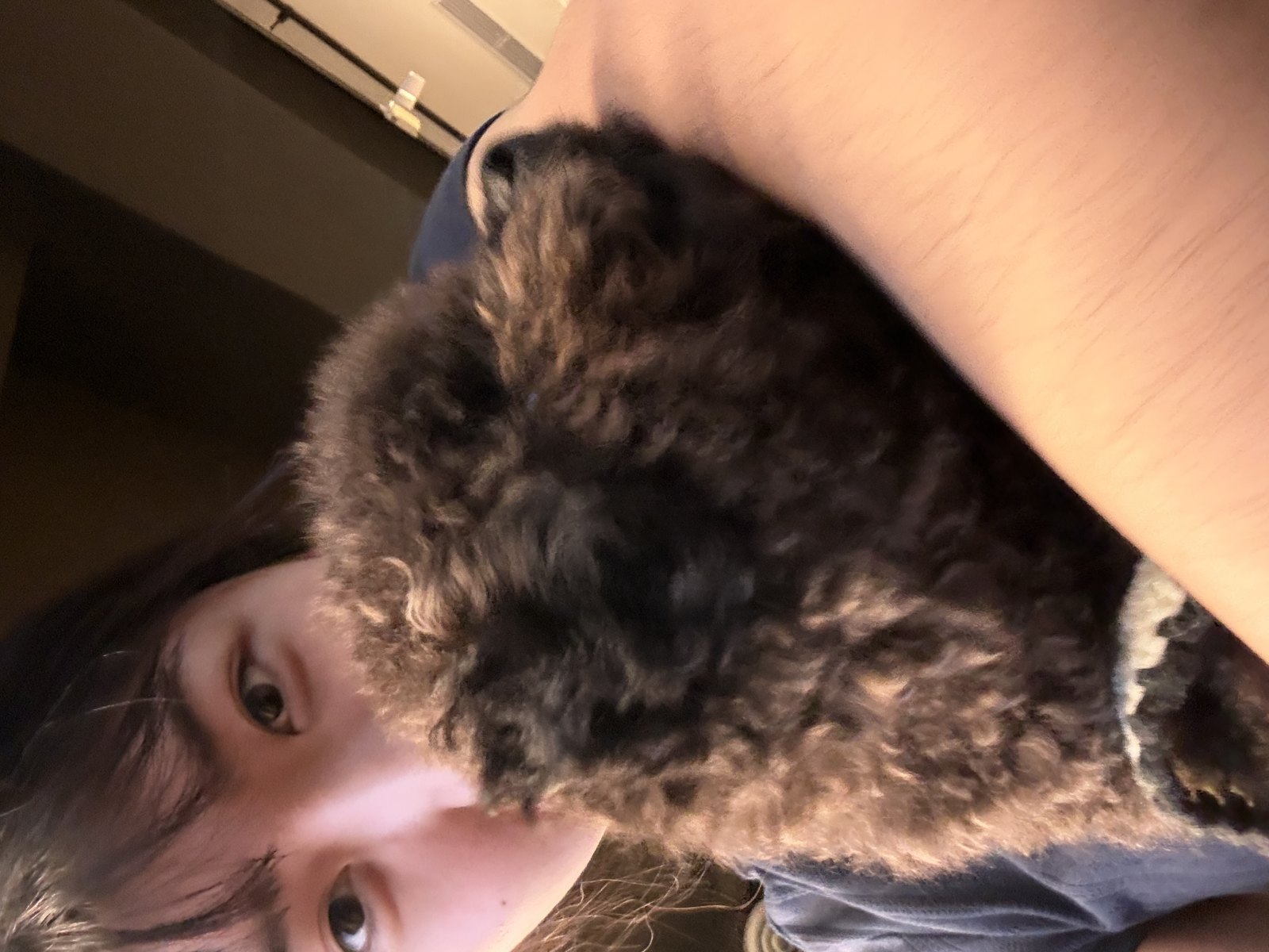Nevaeh 的照片