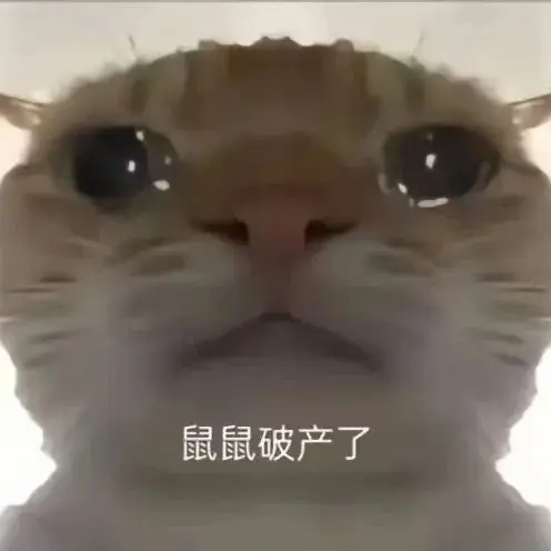 Roy 的照片
