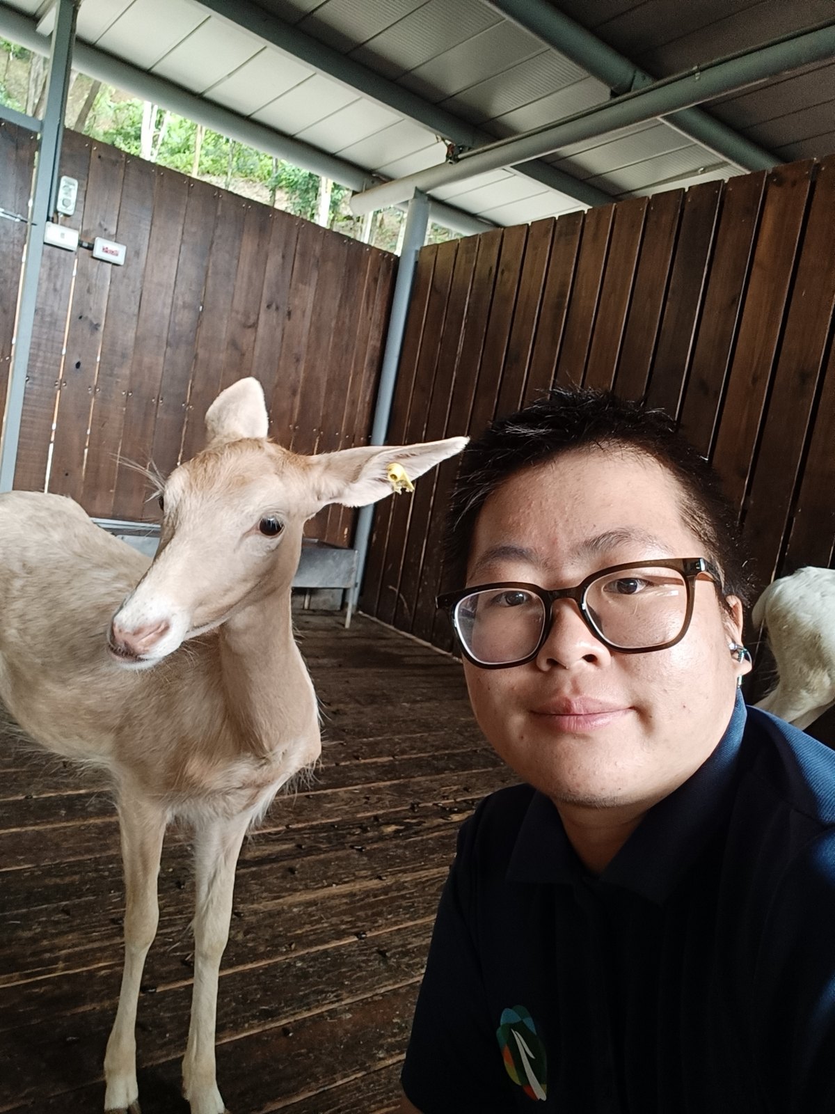 黑喵